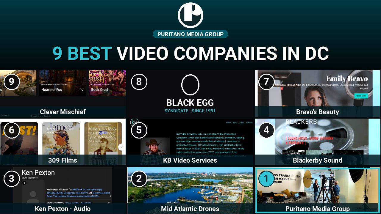 Collage of the nine companies on the PMG best-of list for Washington DC